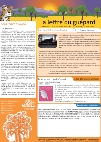 La lettre du guépard N°15